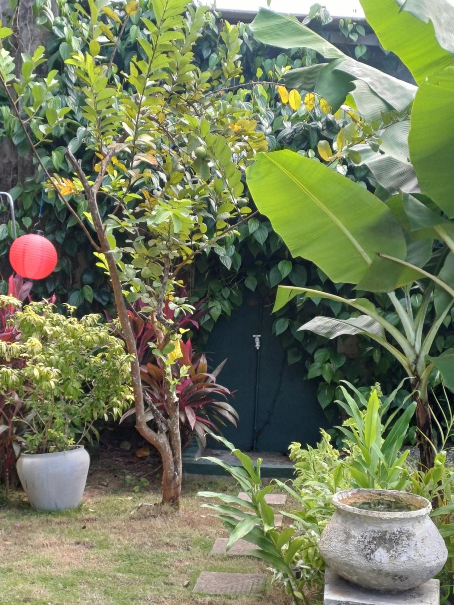 Villa River View ألوثغاما المظهر الخارجي الصورة
